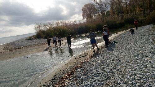 Kąpiel w morzu w listopadzie